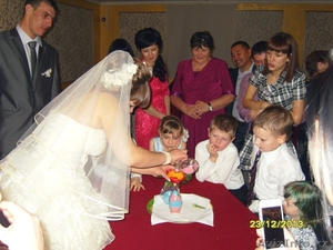 Тамада. Организация и Проведение Свадьбы. #1179676