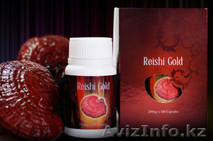 Гриб Ганодерма Лусидум #1179288