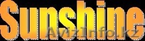 ИП Sunshine - переводческая компания #1182983