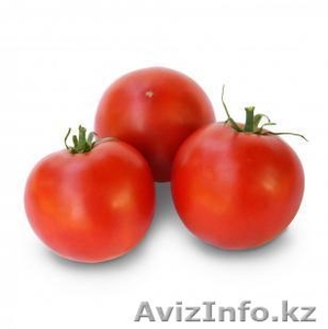 Cемена Китано. Томат VIRTA F1 / Вирта  #1187828