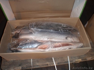 Свежемороженая семга (Норвегия,  6-7кг) #1196360