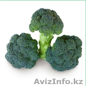 Семена Китано. Капуста брокколи CAZZY F1  / Кеззи  #1187829