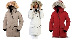 BISON. Оригинальная,  высококачественная одежда и обувь из США и Европы. #1189527