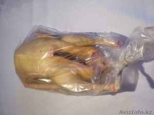  ГУСЬ на столе - праздник в доме! #1188762