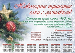 Служба Доставки Новогодних Елок #1186254