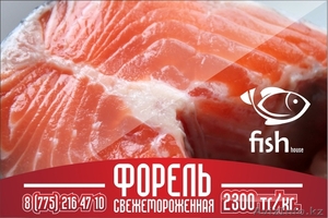 Форель в Астане #1191372