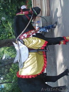 прокат в карете и верхом. #1183925