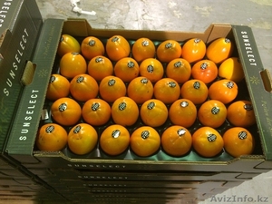 Продаем хурму из Испании #1190235