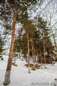 Сдам Коттеджи в Алмарасане #1197107