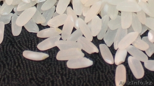 Продам рис шлифованный. Крупа рисовая #1187495