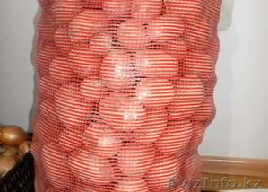 продам картофель2014 #1189794