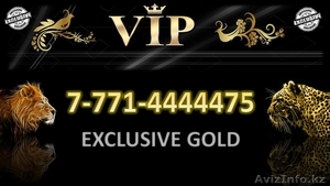 Золотой VIP номер Beeline 8-771-44444-75 #1185345