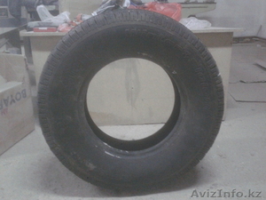 Шины шипованные #1210596