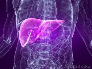 Здоровая печень или как восставновить печень? #1206358
