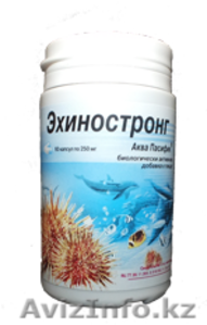 Эхиностронг Бад из икры морского ежа #1200358