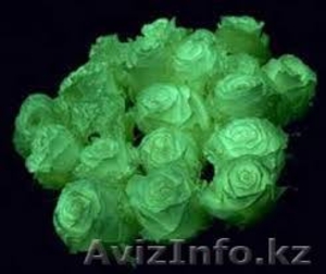 Сделай жизнь ярче! #1211746