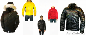BISON. Куртка,  пуховики,  спортивная одежда в Алматы. #1201674
