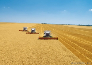 Распродажа имущества КХ (крестьянского хозяйства) #1203354