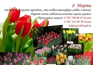 Доставка тюльпанов на 8 Марта #1222229