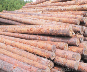 рудстойка (стойка рудничная) #1220989