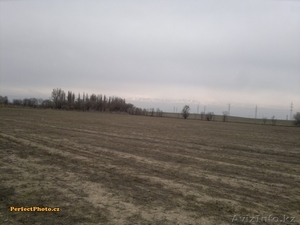 Участок 15 га,  р-н Дмитриевских дач #1222076