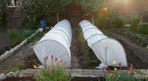 Удобные дачные парники #1218913