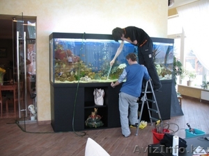 чистка аквариума #1227202