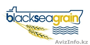 Международная конференция «Зерно Причерноморья – 2015. Будущее - сейчас» #1226163