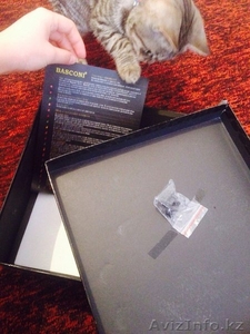 Продам весенние ботильоны 36-37 разм #1225718