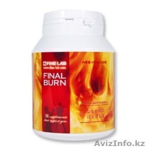 Японский сжигатель жира Final Burn #1226728