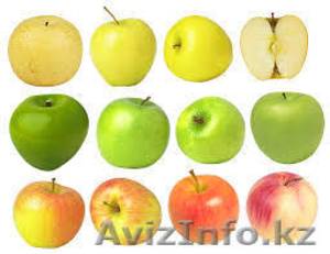 Яблоки из Польши на условиях FCA #1215138