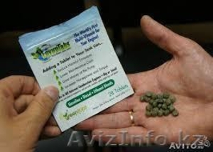 Инвайро табс -мультивитамины для авто #1222908