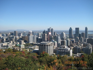 Бизнес иммиграция в Канаду. Бизнес-категория (Business Category) #1172734