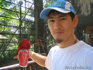 Установка (монтаж) интерактивных досок,   проекторов #1221140