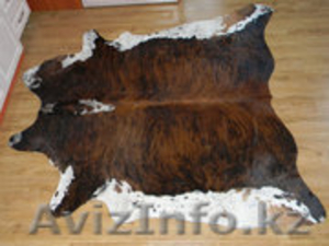 Продам шкуру из коровы(Аргентина) на пол. #1219086