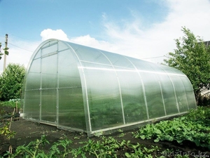 Теплица,  парник в Астане #1225856