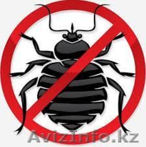 Клоп-Стоп Токта-Кандала #1217200