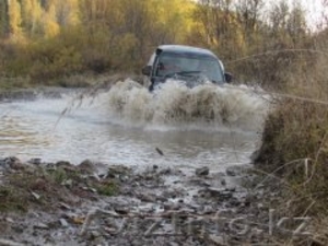 аренда микроавобуса #1240529