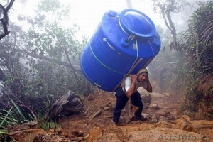 Ип круглосуточныйработник #1239854