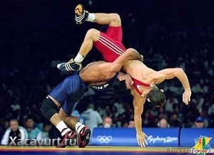 секция борьбы.количество ограничено #1227360