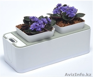 Горшок для цветов умный! #1230425