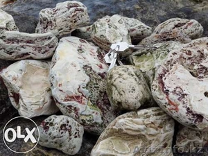 Камни и морской песок для аквариумов #1227462