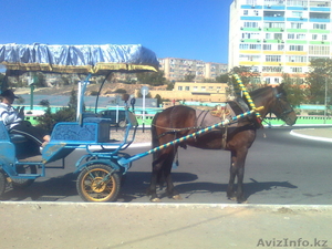 карета - фаэтон #1230788