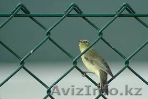 Сетка рабица,  сетка рабица в полимерном покрытии #1237808