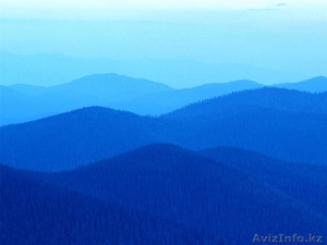  С Р О Ч Н О    Д О М  #1231424