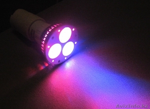 Фитолампы мощностью 3 Вт. #1241832