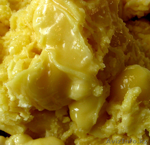 НАТУРАЛЬНЫЙ ГОРНЫЙ МЕД С ПАСЕКИ - БЕЗ ОБМАНА! #1231864