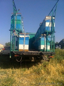 продам прицеп пчело павильон  #1239572