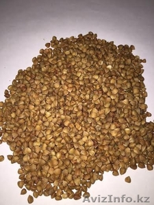 Гречневая крупа #1228862