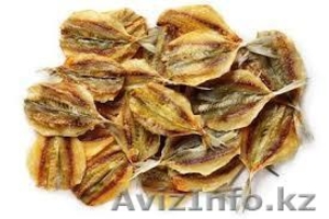 снеки закуска к пиву оптовая продажа кальмары рыба #1239172